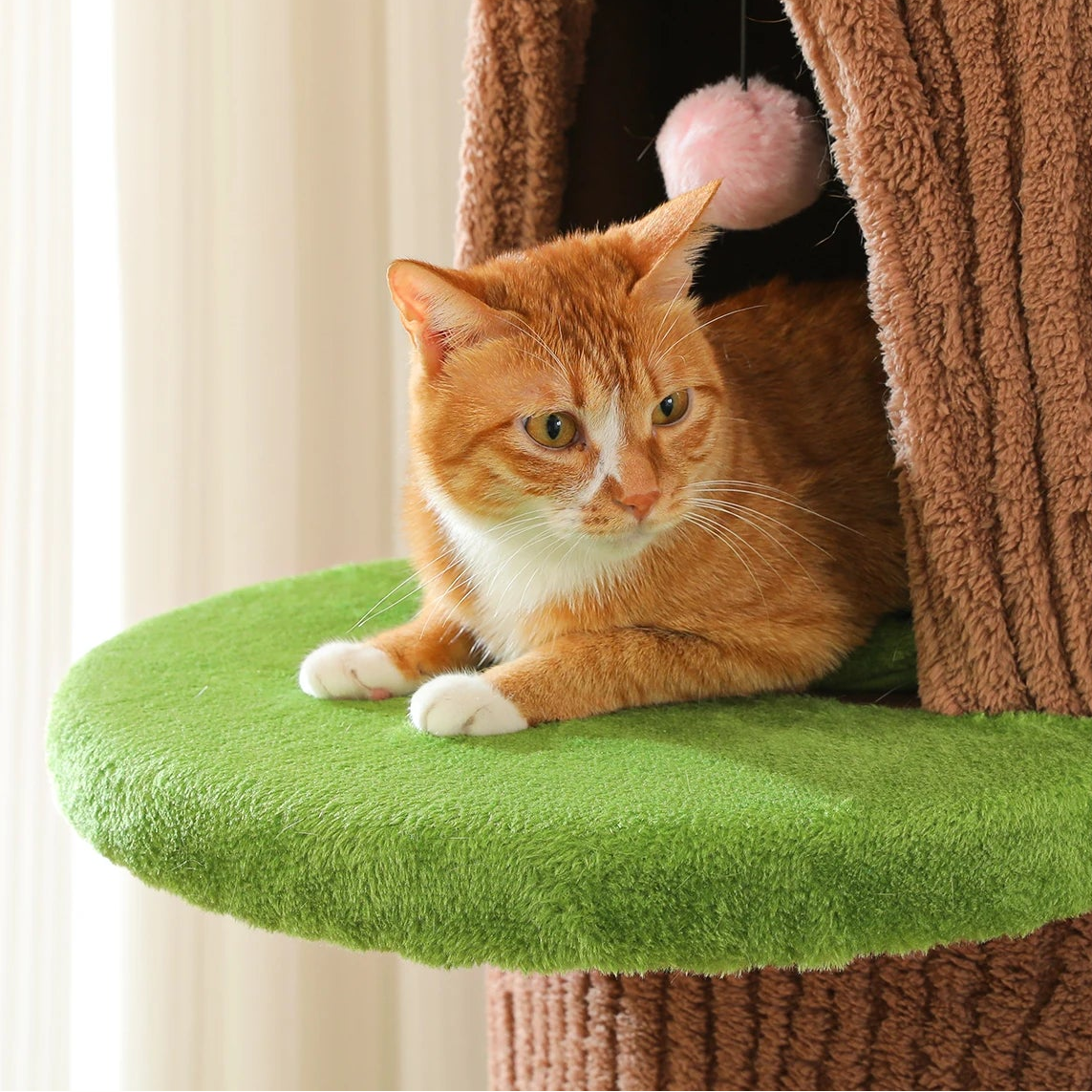 Arbre à chat tonneau xxl fleur