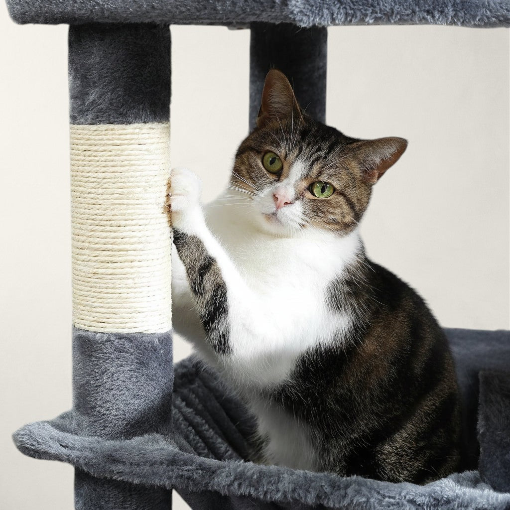 Arbre à chat XXL 1m80 - Bofélin - 9