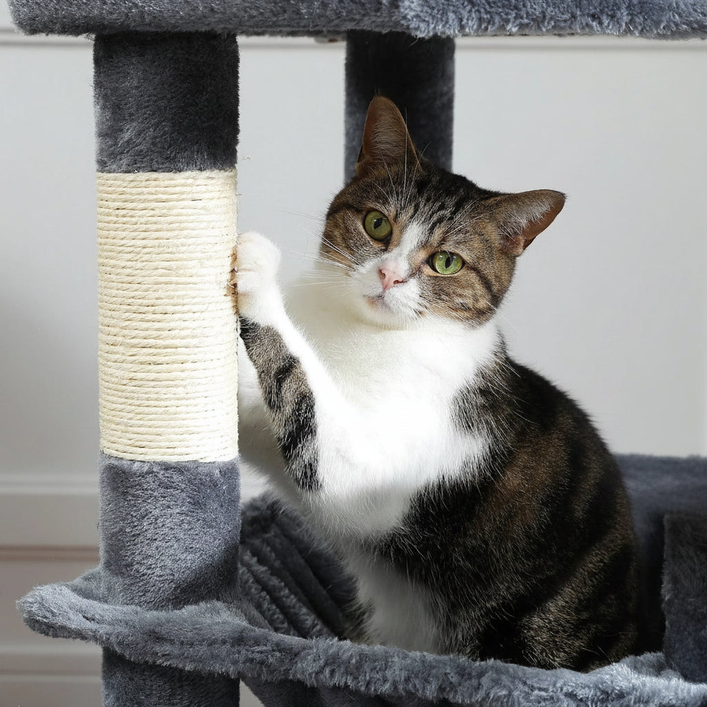 Arbre à chat xxl 1m80