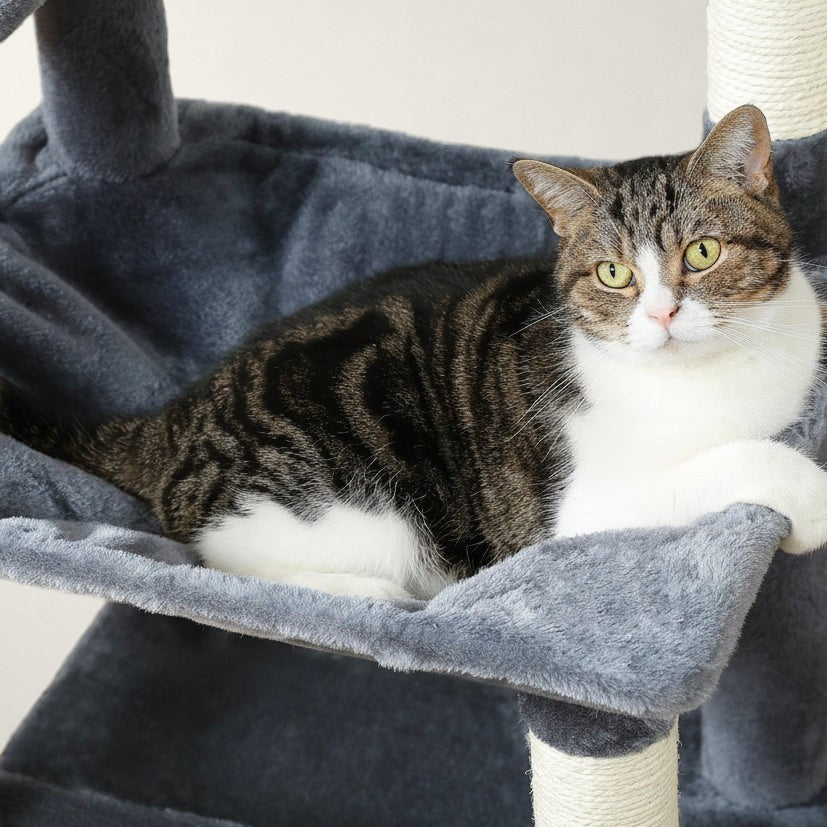 Arbre à chat XXL 1m80 - Bofélin - 8