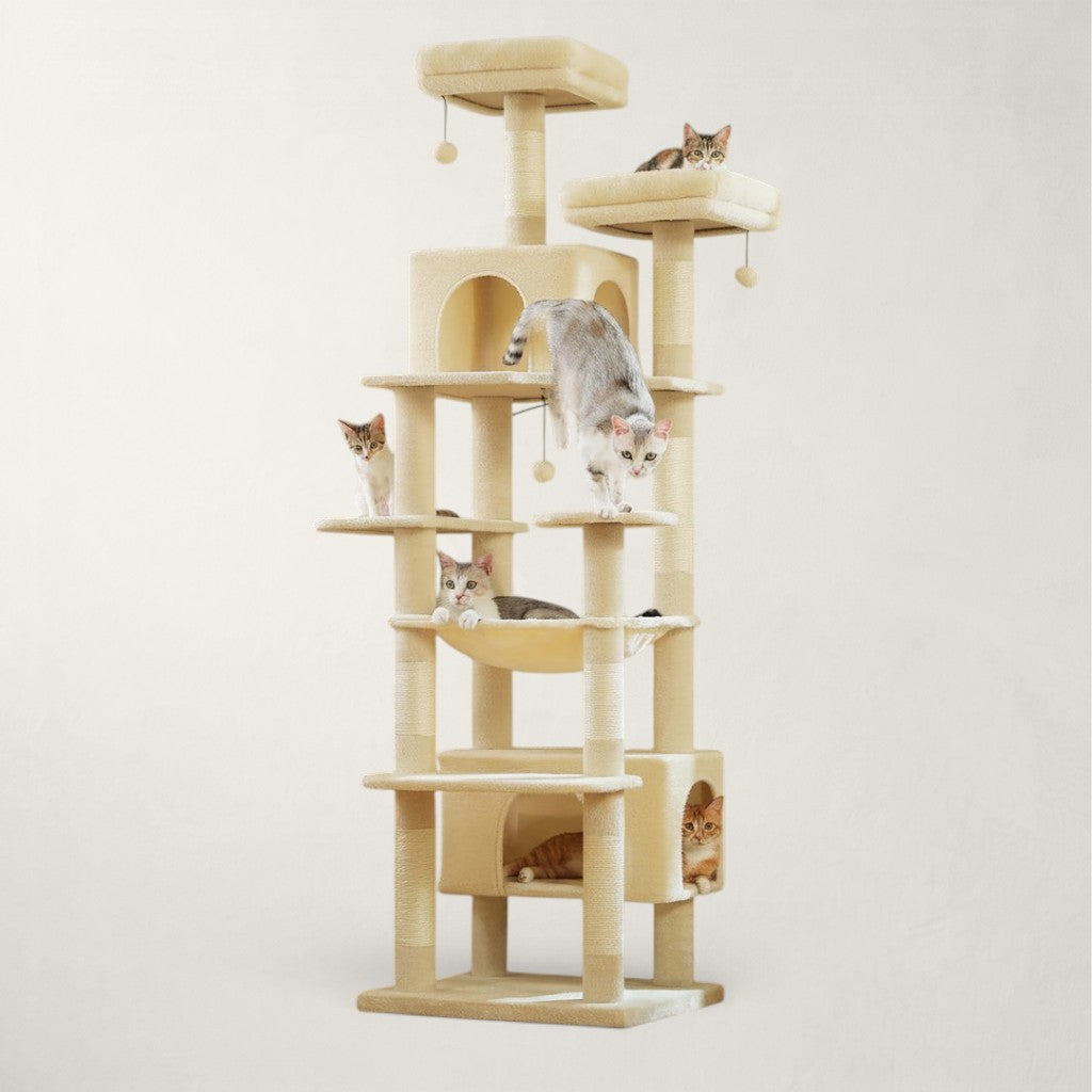 Arbre à chat XXL 2m05 - Bofélin - 9
