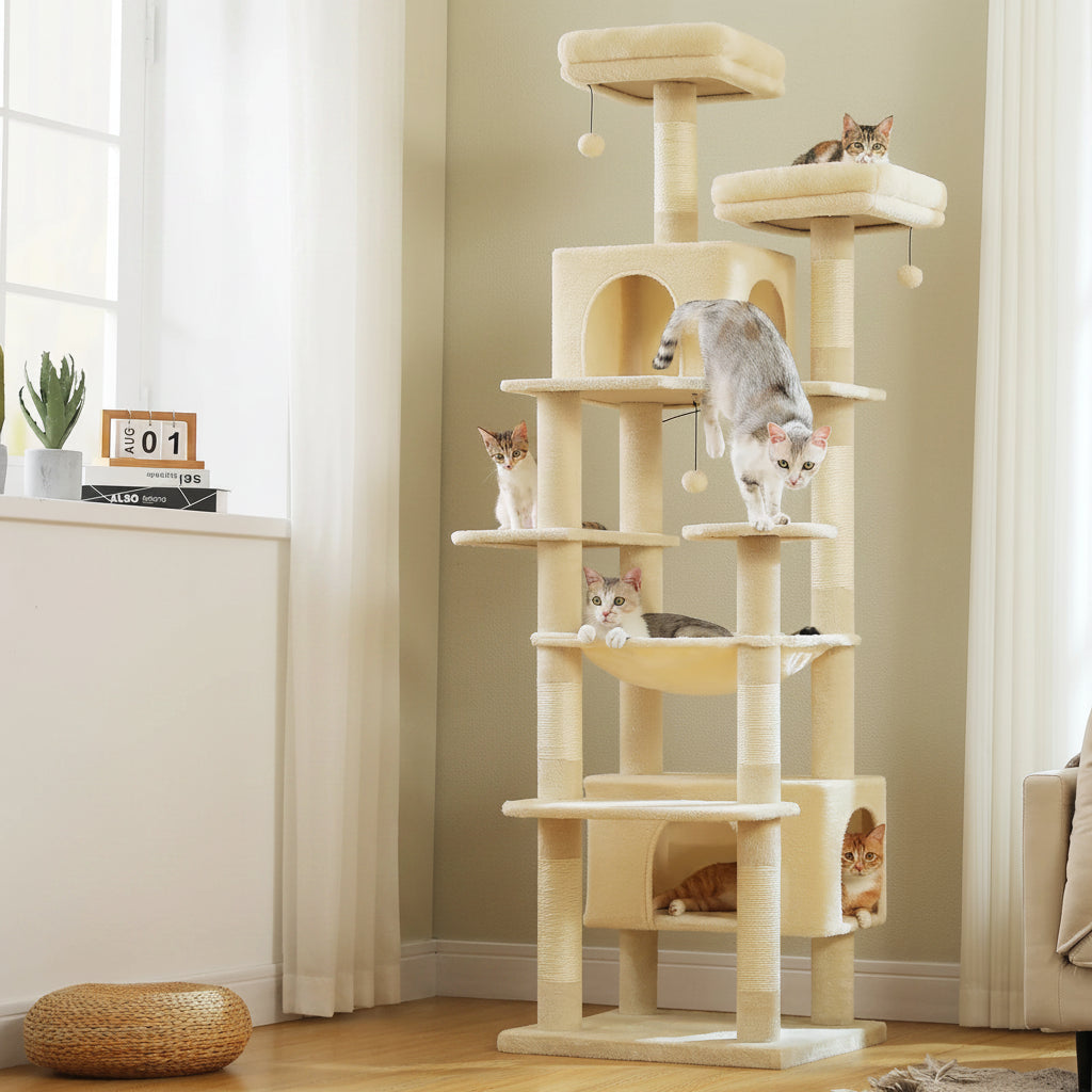 Arbre à chat xxl 2m05