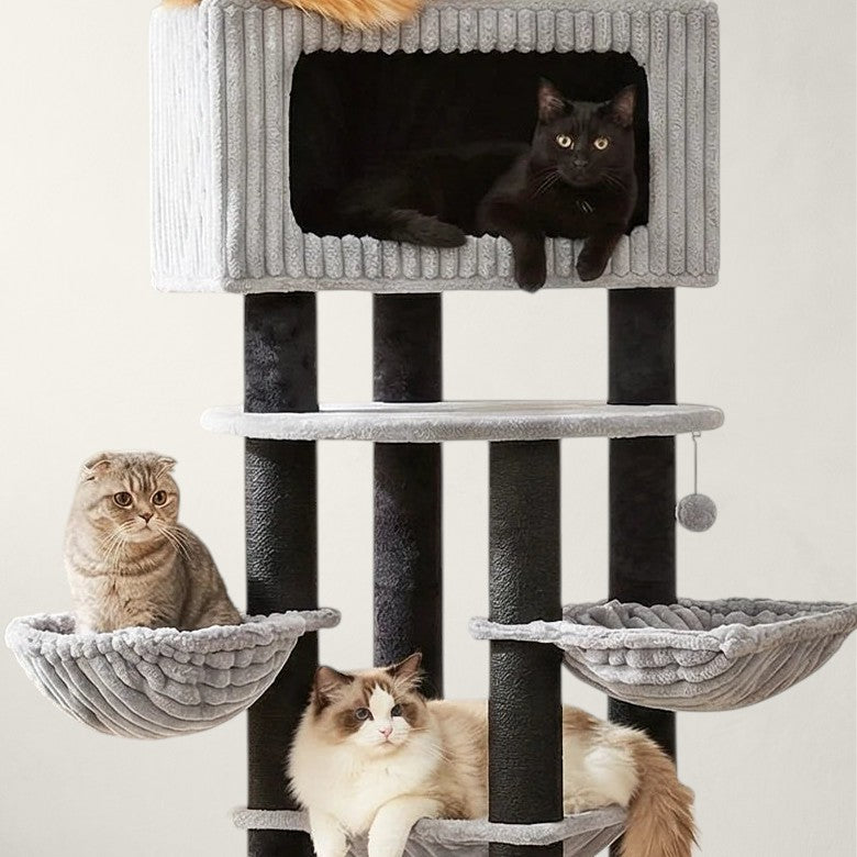 Arbre à chat XXL pour Maine Coon - Bofélin - 3