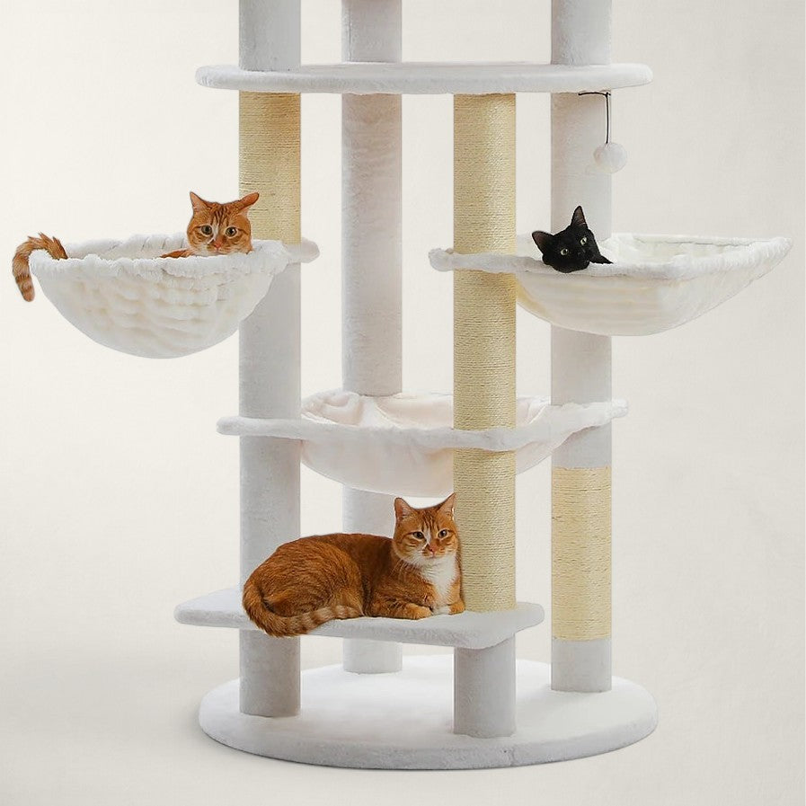 Arbre à chat XXL pour Maine Coon - Bofélin - 5