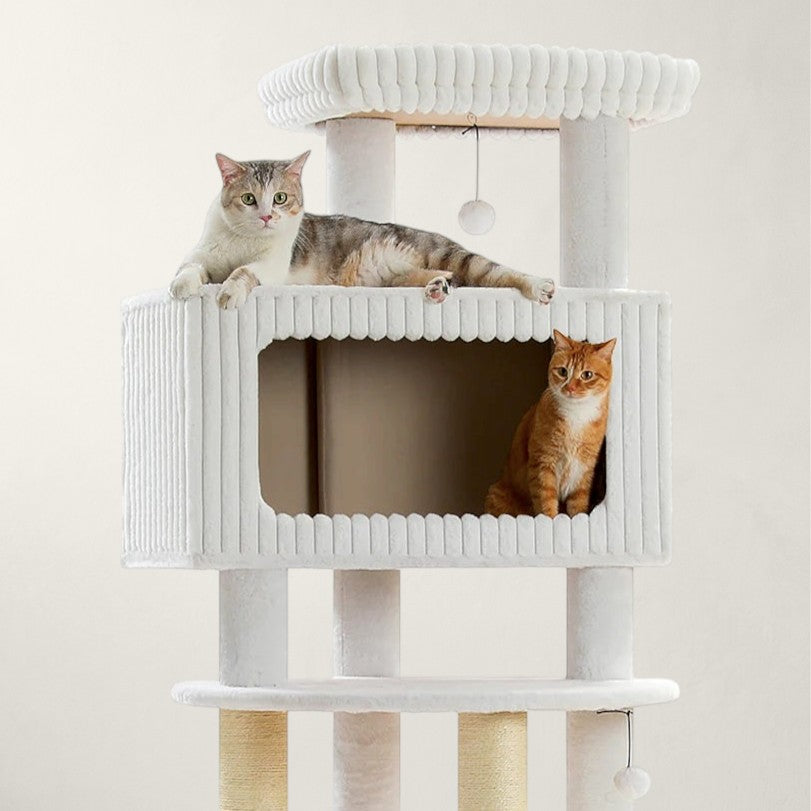 Arbre à chat XXL pour Maine Coon - Bofélin - 4