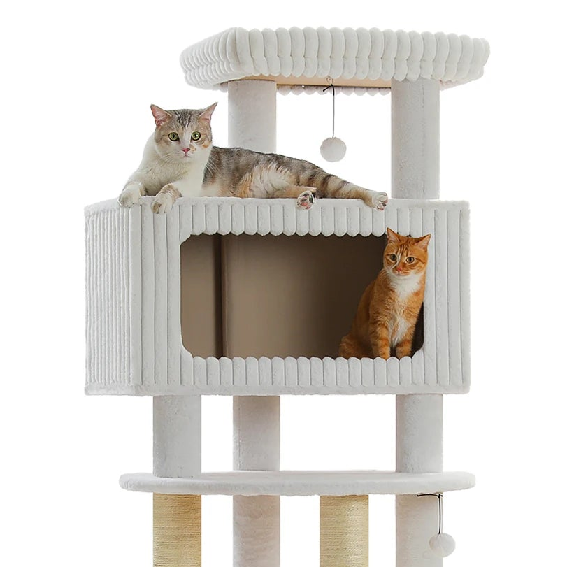 Arbre à chat xxl pour Maine Coon