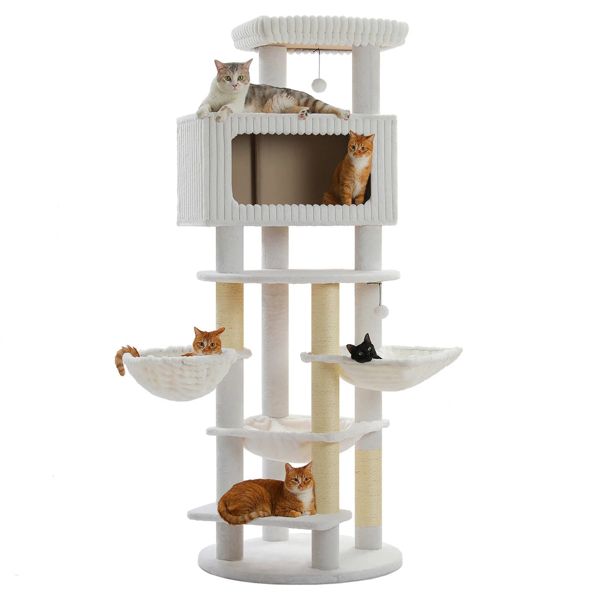 Arbre à chat xxl pour Maine Coon