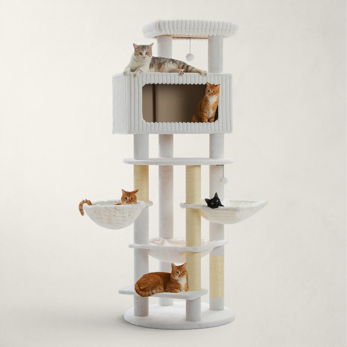 Arbre à chat XXL pour Maine Coon - Bofélin - 11 Image
