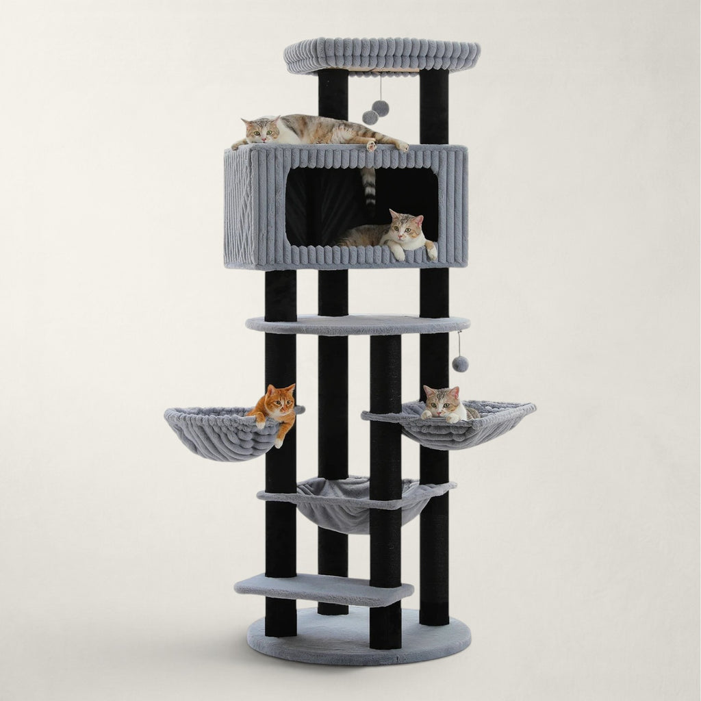 Arbre à chat XXL pour Maine Coon - Bofélin - 12