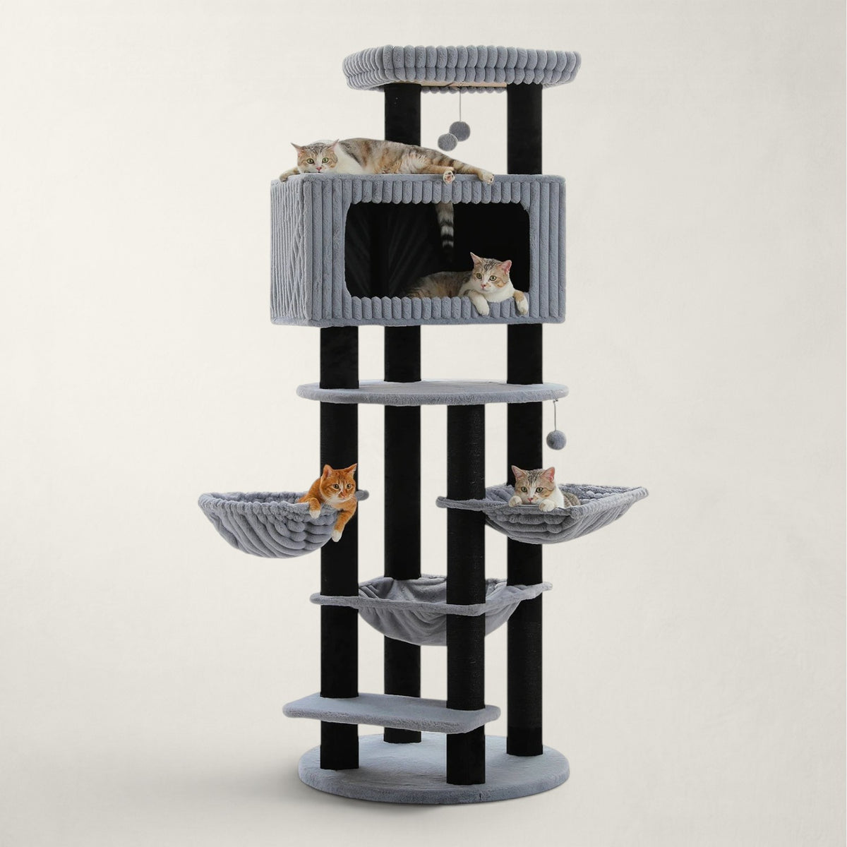 Arbre à chat XXL pour Maine Coon - Bofélin - 12
