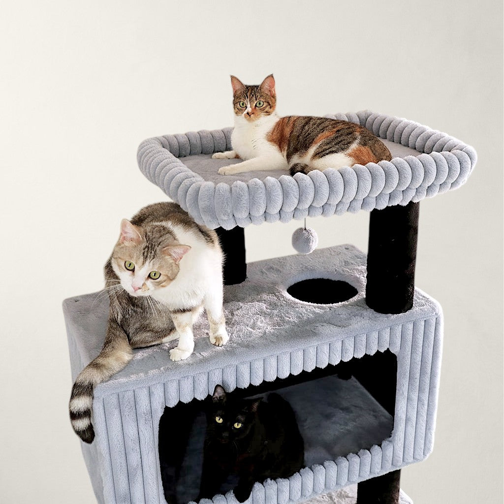 Arbre à chat XXL pour Maine Coon - Bofélin - 8