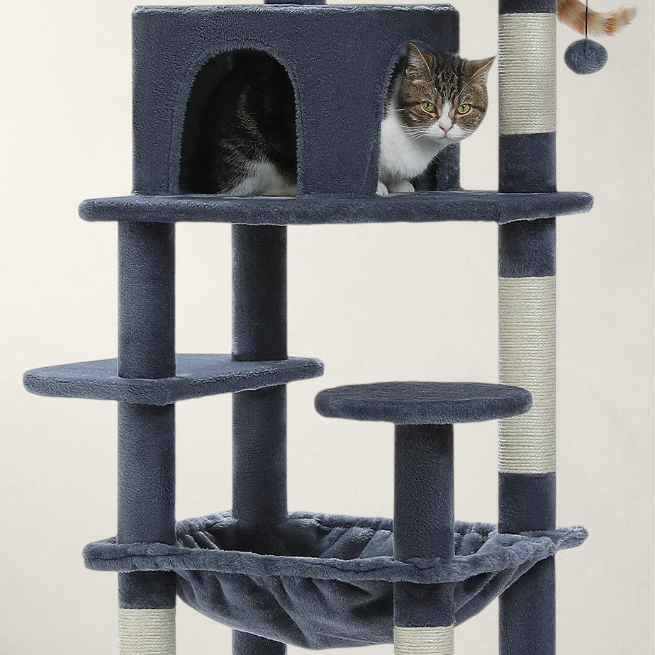 Arbre à grand chat 164cm - Bofélin - 7