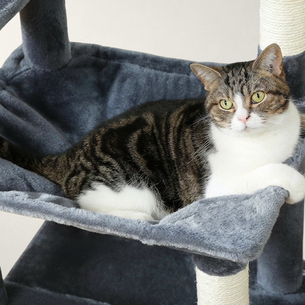 Chat tigré gris et blanc se reposant dans le hamac en fausse fourrure douce d'un arbre à chat Bofélin