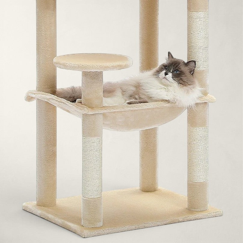Chat Ragdoll se reposant dans le hamac beige d'un arbre à chat Bofélin avec poteaux en sisal naturel