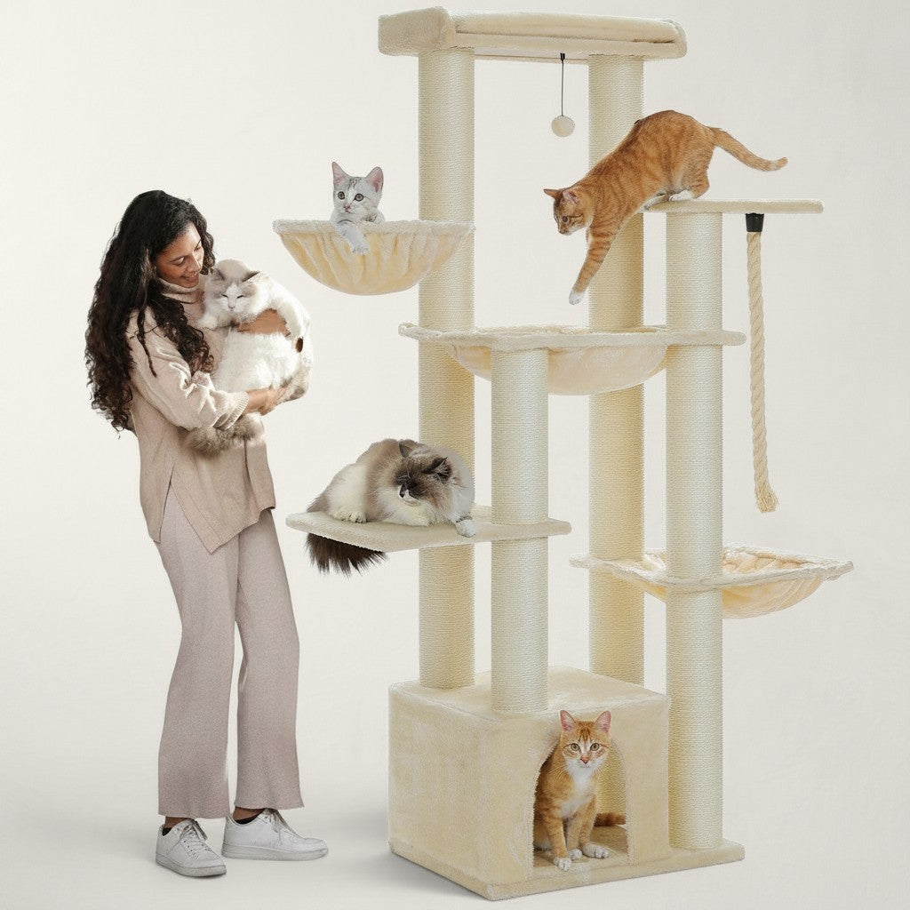 Arbre à chat Bofélin beige pour Maine Coon avec niches, hamacs, poteaux en sisal et femme tenant un chat Ragdoll