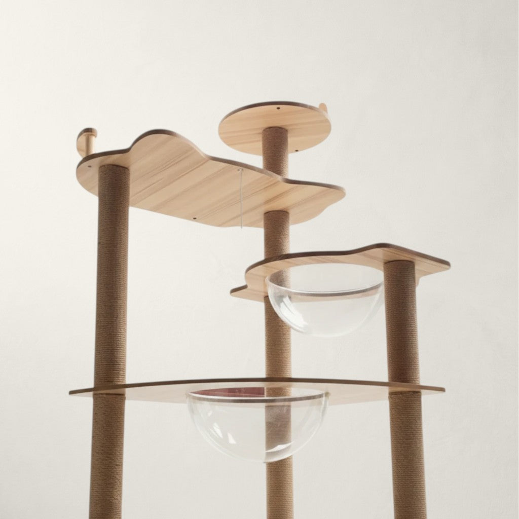Arbre à chat Bofélin en bois clair avec plateformes multi-niveaux, poteaux en sisal et deux bulles transparentes