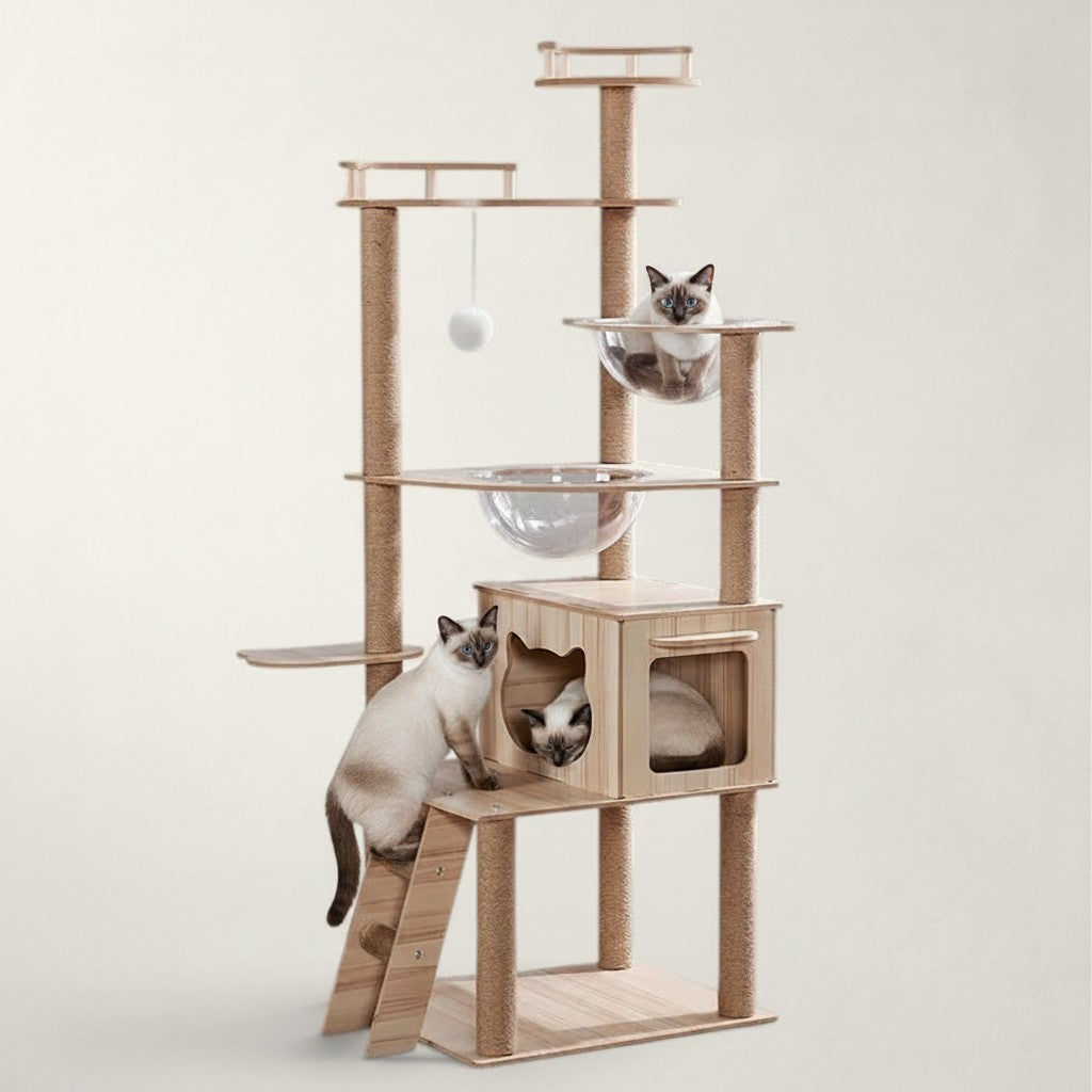 Arbre à chat Bofélin en bois clair avec niches, plateformes, griffoirs en sisal et bulles transparentes pour chats.