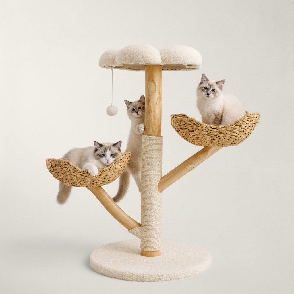 Arbre à chat Bofélin en bois naturel avec deux paniers en sisal, plateforme fleur blanche et deux chatons Ragdoll.