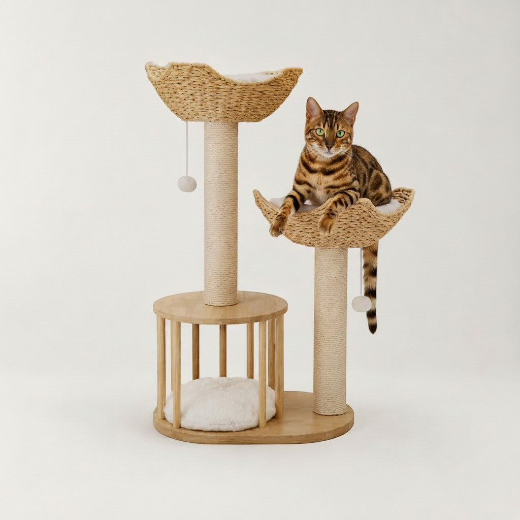 Arbre à chat Bofélin en bois d'hévéa avec paniers en jacinthe d'eau, griffoirs en sisal et coussins en fausse fourrure
