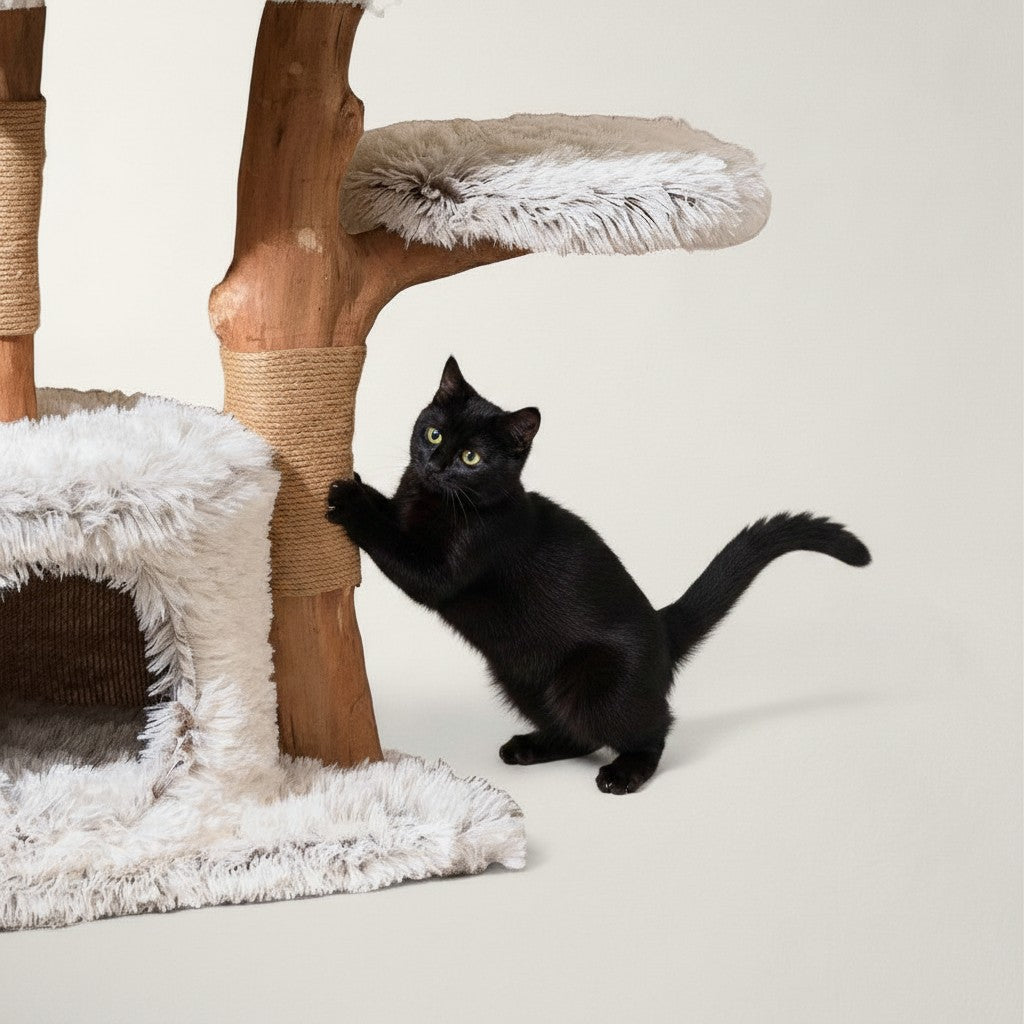 Arbre à chat design Bofélin en bois naturel et peluche blanche avec chat noir faisant ses griffes sur un poteau en jute