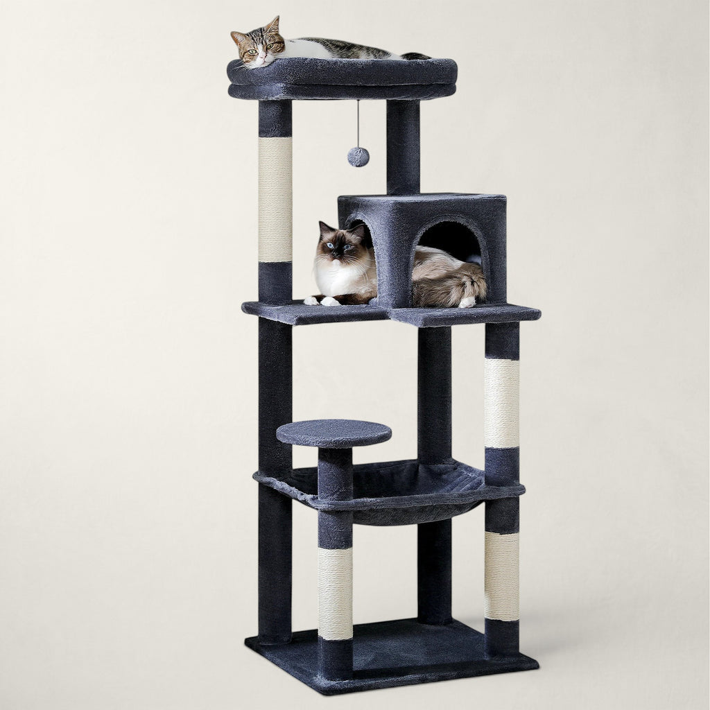 Arbre à chat Bofélin gris foncé avec niches, hamac et poteaux en sisal pour grands chats comme le Maine Coon