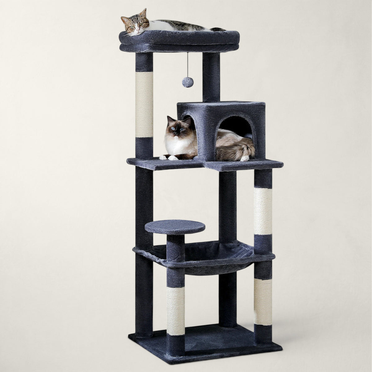 Arbre à chat Bofélin gris foncé avec niches, hamac et poteaux en sisal pour grands chats comme le Maine Coon