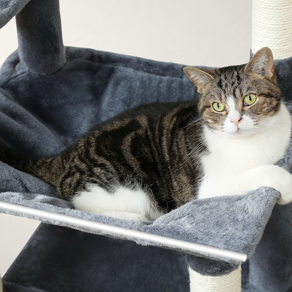 Chat tigré gris et blanc se reposant dans le hamac en fausse fourrure grise d'un arbre à chat Bofélin