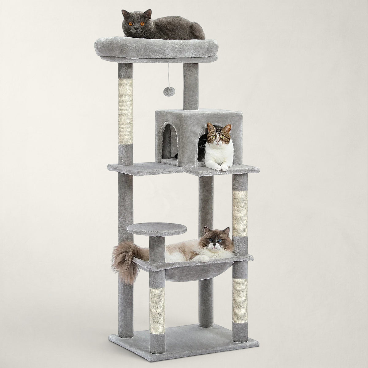 Arbre à chat Bofélin gris avec niches, hamac, poteaux en sisal et perchoir pour grands chats comme le Maine Coon