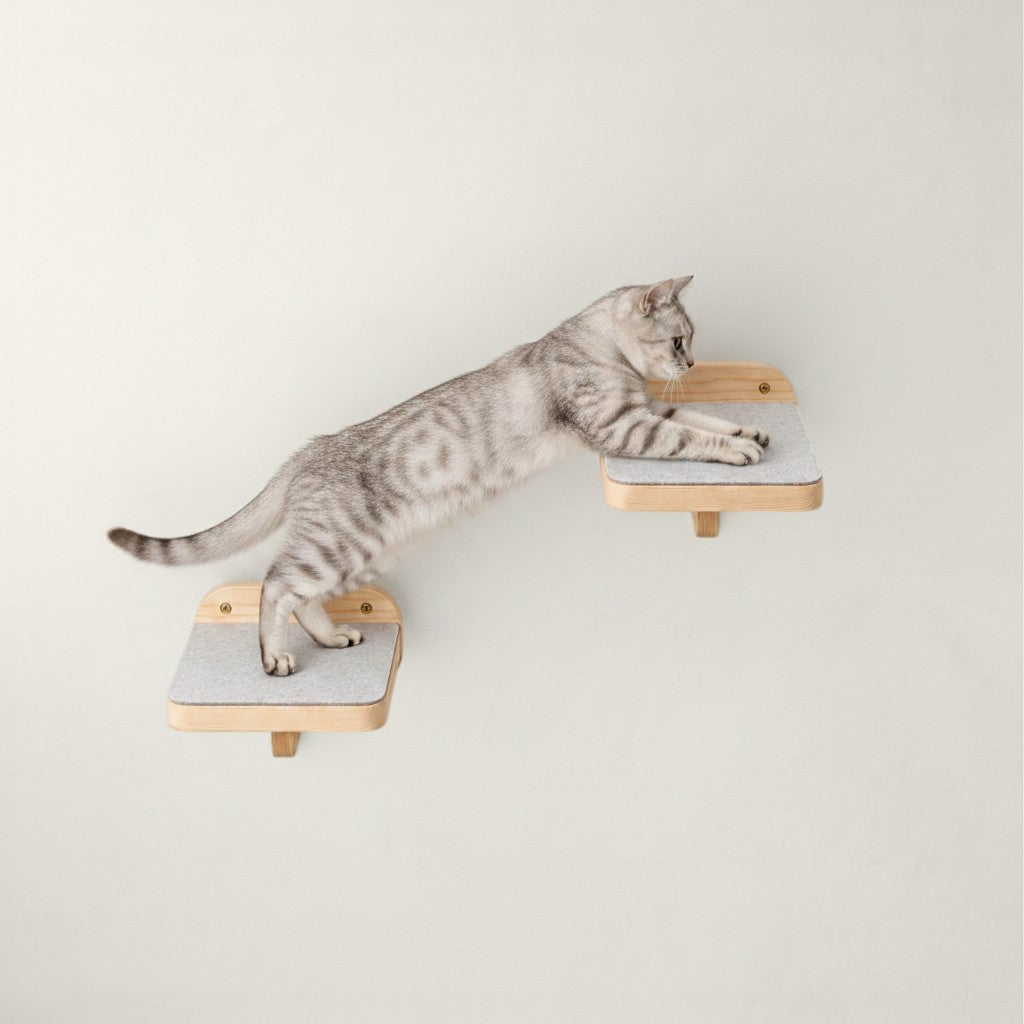Chat gris sur un ensemble mural Bofélin composé de deux plateformes en bois naturel et tissu antidérapant gris clair