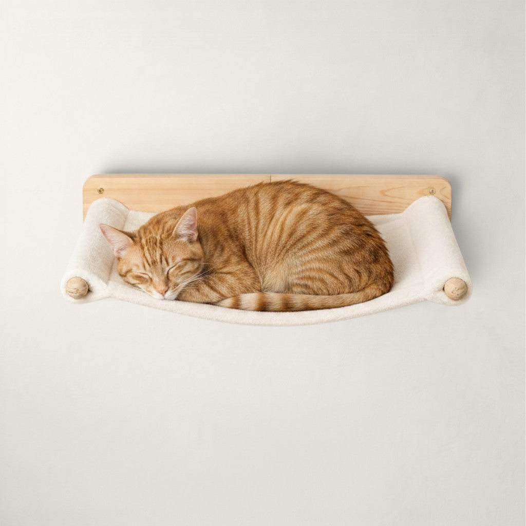 Chat roux dormant sur un hamac mural Bofélin en bois naturel et tissu blanc avec deux plateformes assorties
