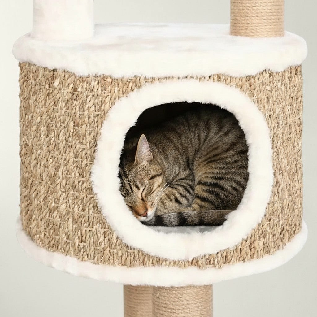 Chat tigré dormant dans la niche cylindrique en jute tressé de l'arbre à chat Bofélin beige avec fausse fourrure.