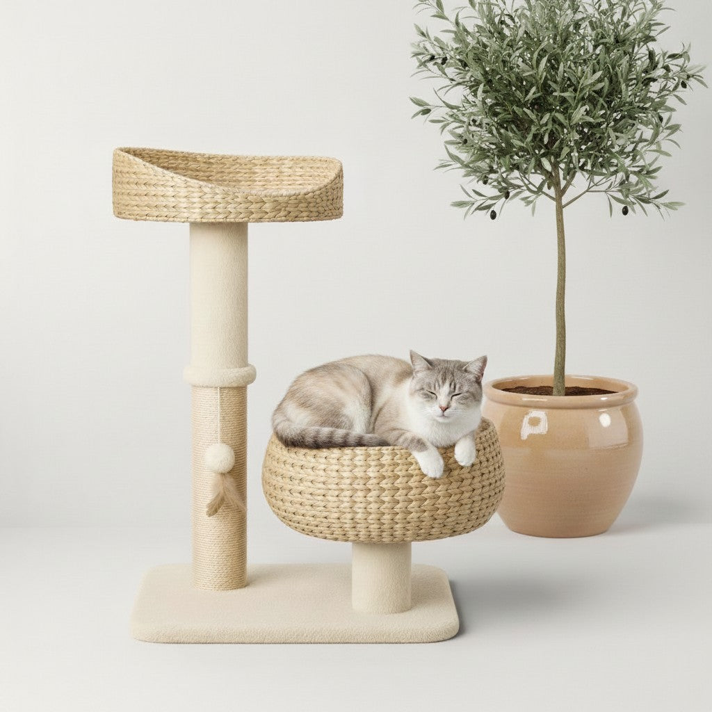 Arbre à chat Bofélin beige en osier et sisal avec deux plateformes, un panier tressé et un chat qui se repose dessus.