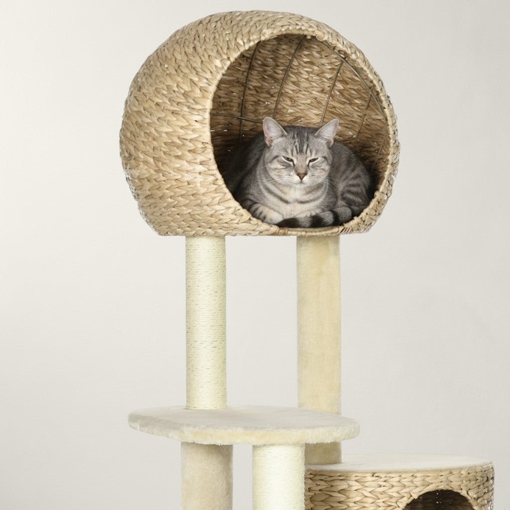Arbre à chat Bofélin style scandinave beige avec niche en osier naturel et poteaux griffoirs en jute pour chat