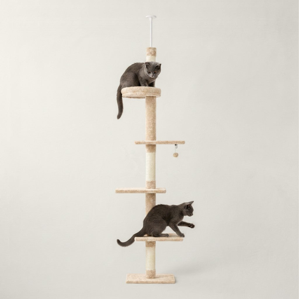 Arbre à chat Bofélin sol-plafond beige avec 5 plateformes, poteaux en sisal et deux chats gris jouant.