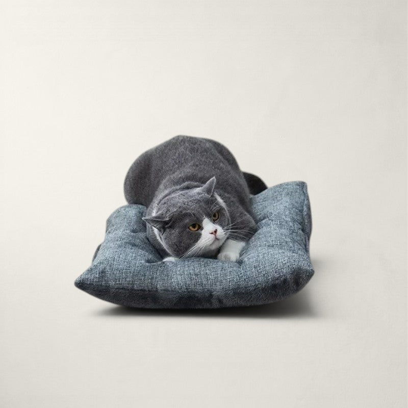 Chat gris couché sur un coussin Bofélin en velours gris avec base antidérapante