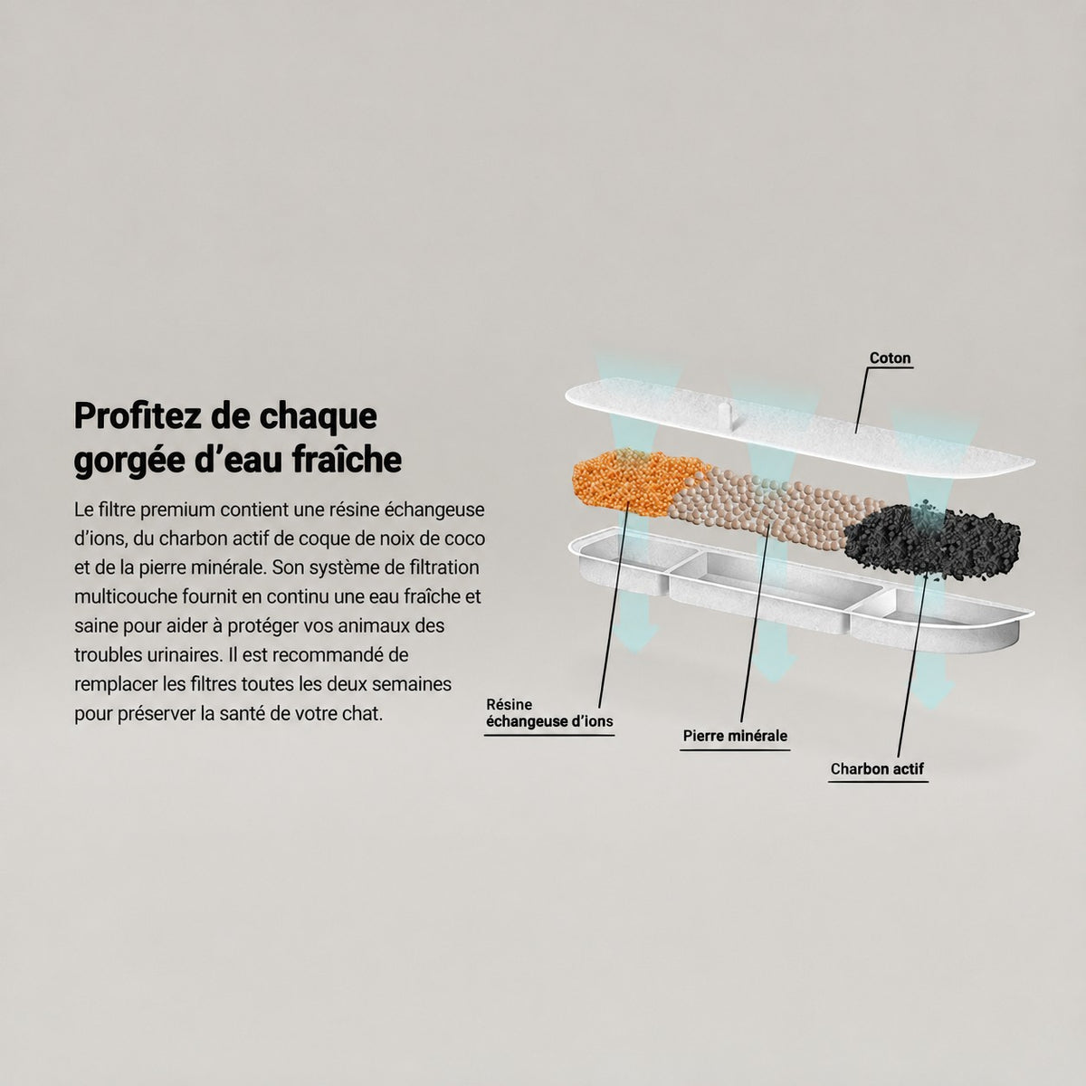 Schéma technique du filtre multicouche Bofélin avec résine, charbon actif et pierre minérale pour fontaine à eau chat