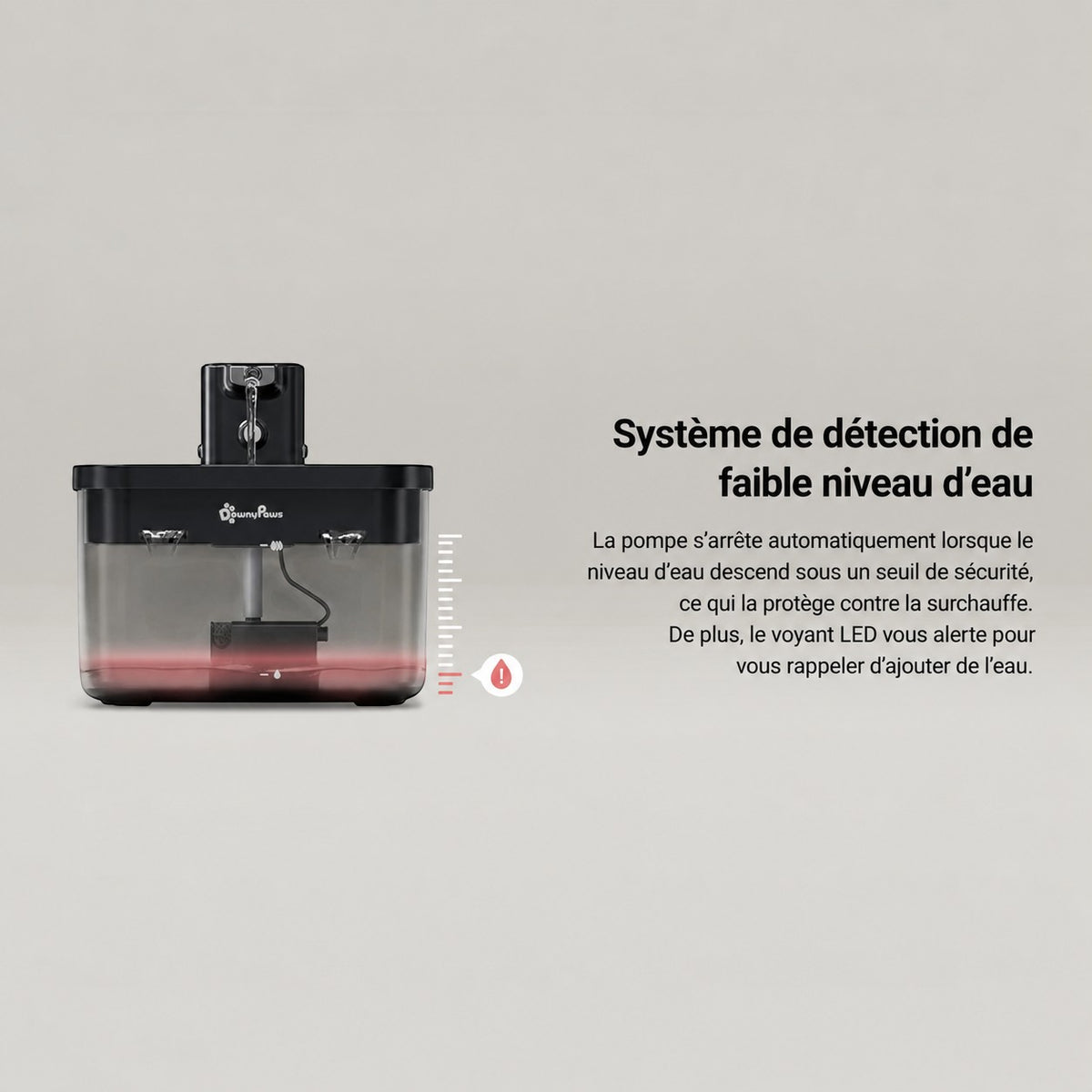 Fontaine à eau sans fil Bofélin en inox avec système de détection automatique de faible niveau d'eau et voyant LED