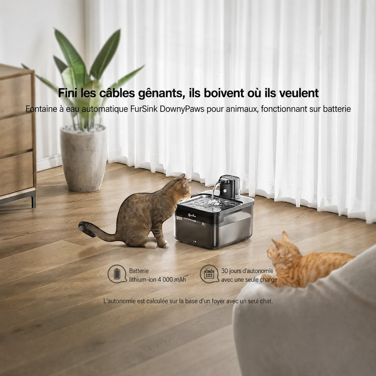 Fontaine à eau sans fil Bofélin en inox avec batterie rechargeable, utilisée par deux chats dans un salon moderne.