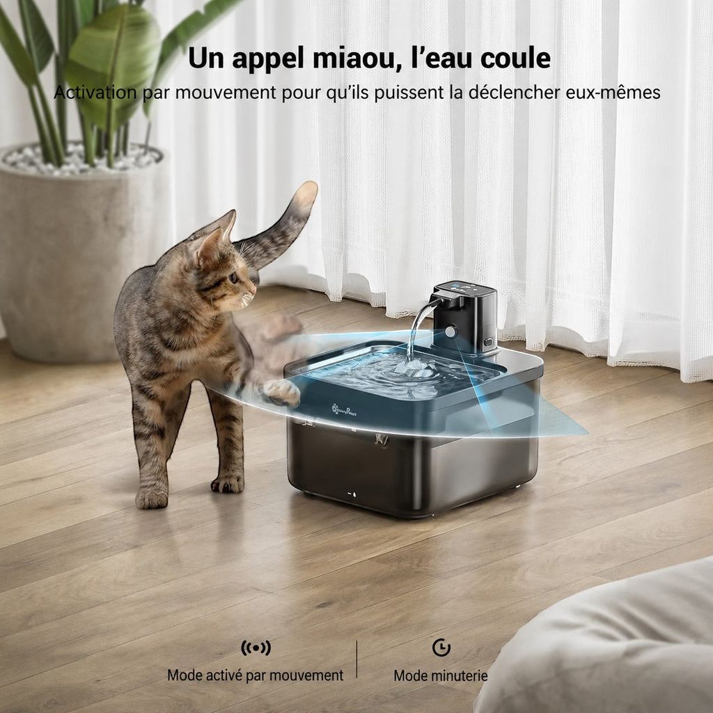 Fontaine à eau sans fil Bofélin en inox avec capteur de mouvement pour chat, posée sur un sol en bois clair.