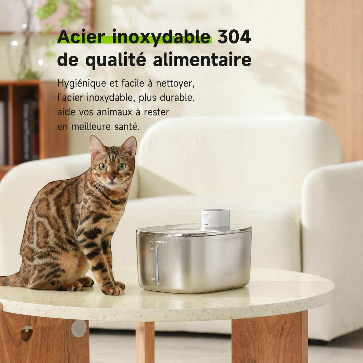 Fontaine à eau Bofélin en inox brossé 4L avec capteur de mouvement, posée sur une table près d'un chat Bengal.