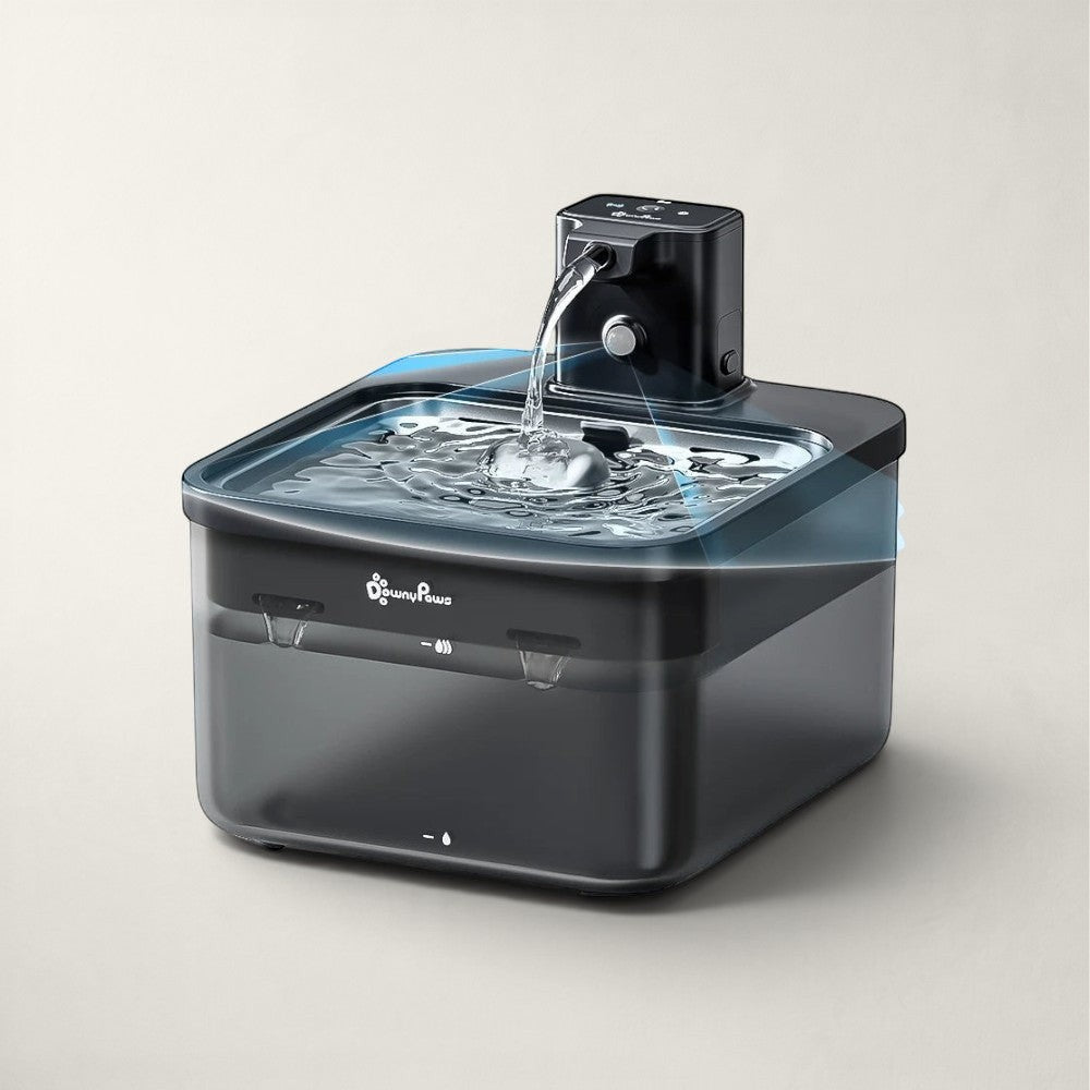 Fontaine à eau automatique sans fil Bofélin en inox avec batterie rechargeable et capteur de présence pour chat
