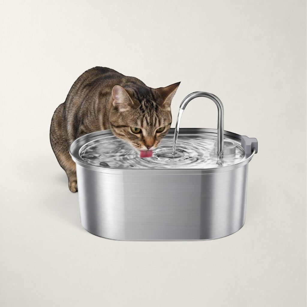 Chat tigré buvant à une fontaine à eau automatique Bofélin en acier inoxydable avec système de filtration