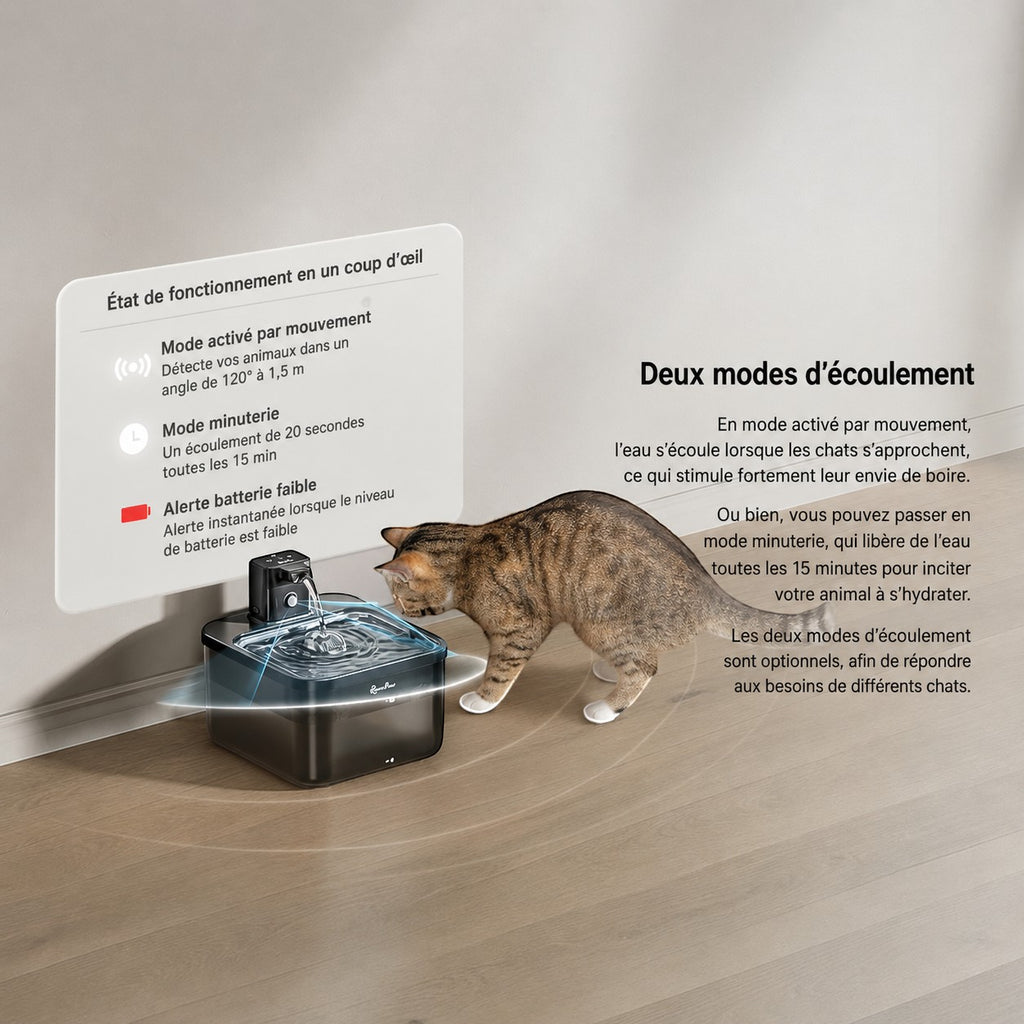 Fontaine à eau Bofélin en inox sans fil avec capteur de mouvement pour chat, capacité 2,5L, design moderne