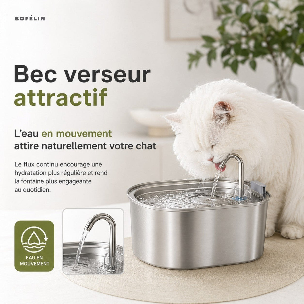 Fontaine à eau Bofélin en inox 3L avec bec verseur pour chat blanc buvant de l'eau en mouvement