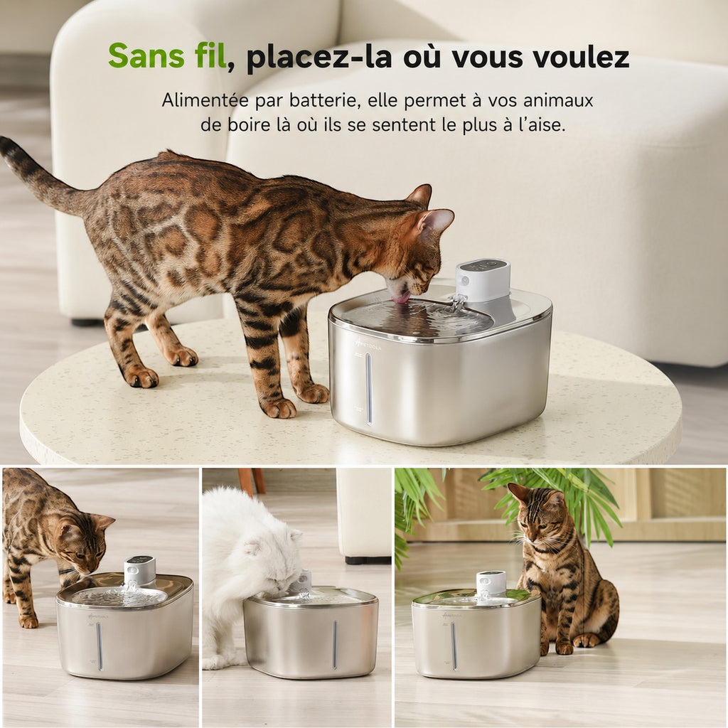 Fontaine à eau Bofélin en inox brossé sans fil de 4L avec capteur de mouvement pour chats et chiens