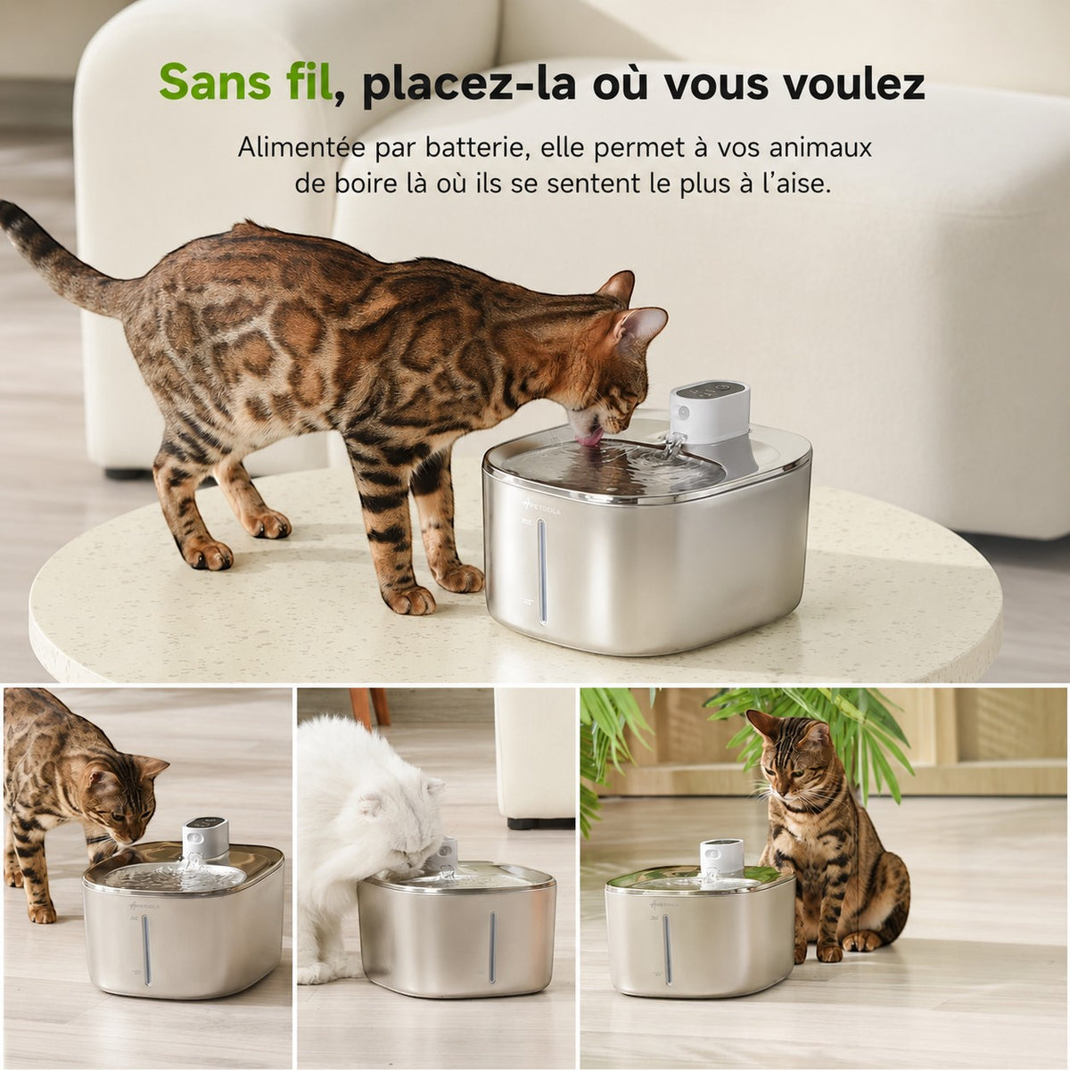 Fontaine à eau Bofélin en inox brossé sans fil de 4L avec capteur de mouvement pour chats et chiens