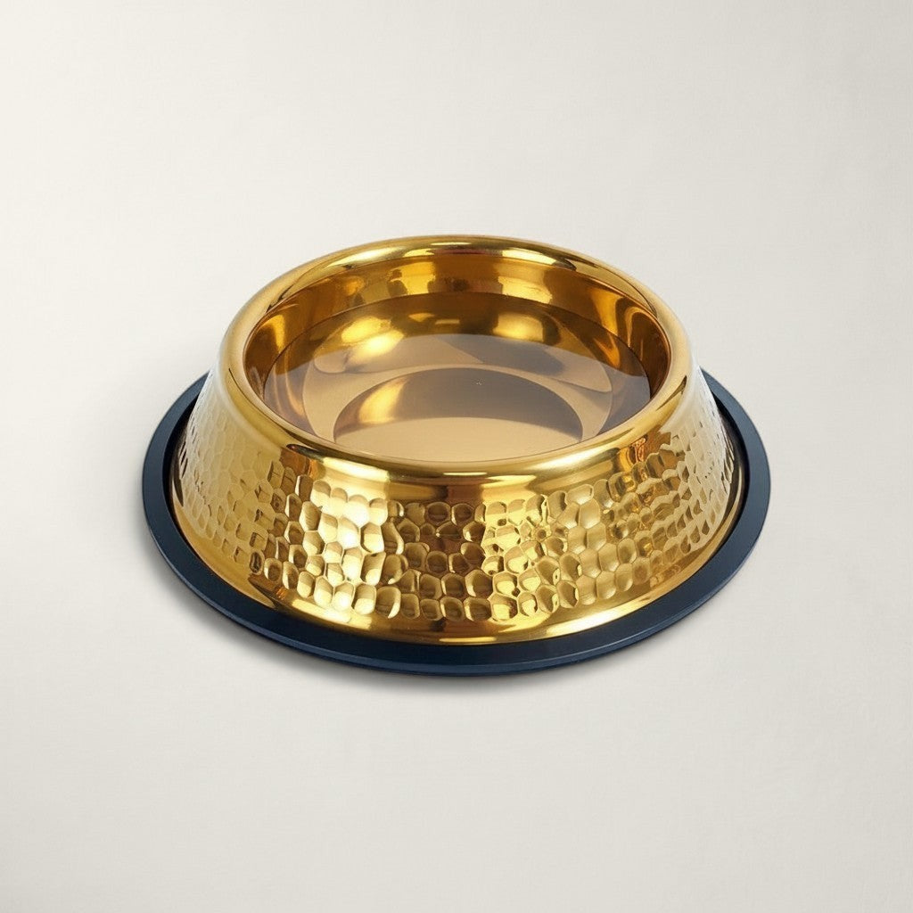Gamelle pour chat Bofélin en inox doré martelé avec base antidérapante noire amovible