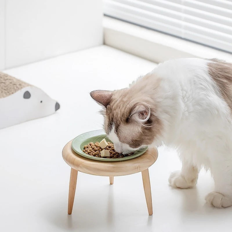 Chat mangeant dans une gamelle Bofélin surélevée avec un bol vert olive en céramique sur un support en bois naturel
