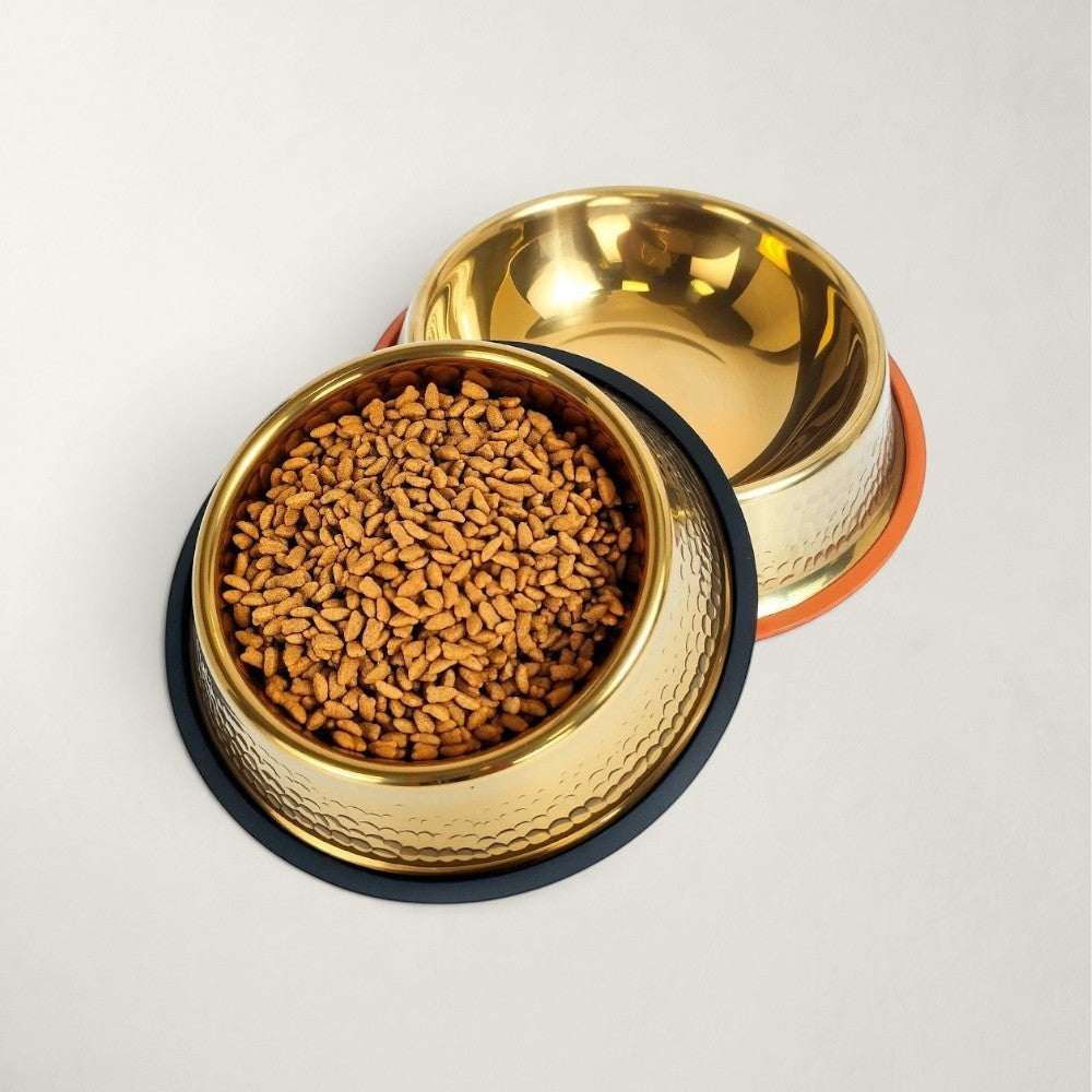 Gamelle Bofélin en inox doré martelé avec base antidérapante noire, remplie de croquettes pour chat