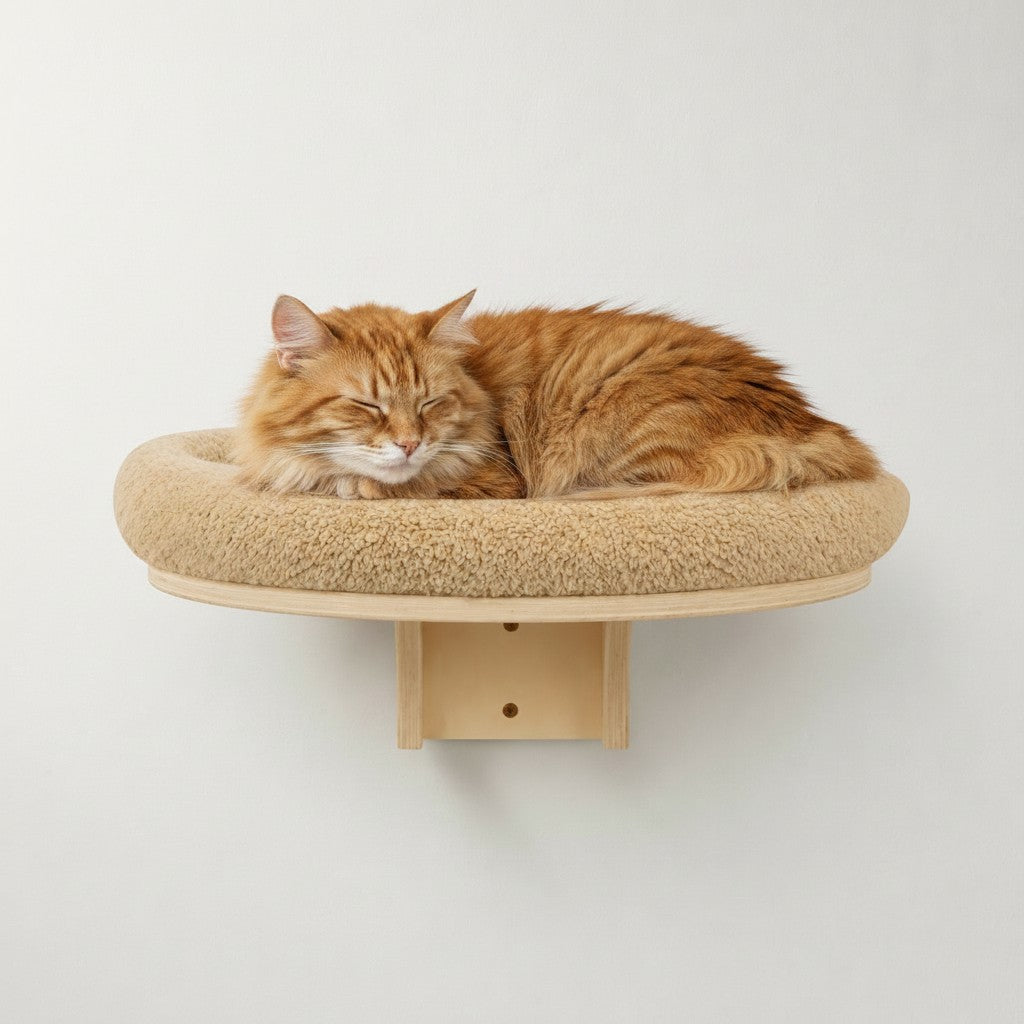 Chat roux dormant sur un hamac mural Bofélin en bois naturel avec coussin beige en fausse fourrure amovible